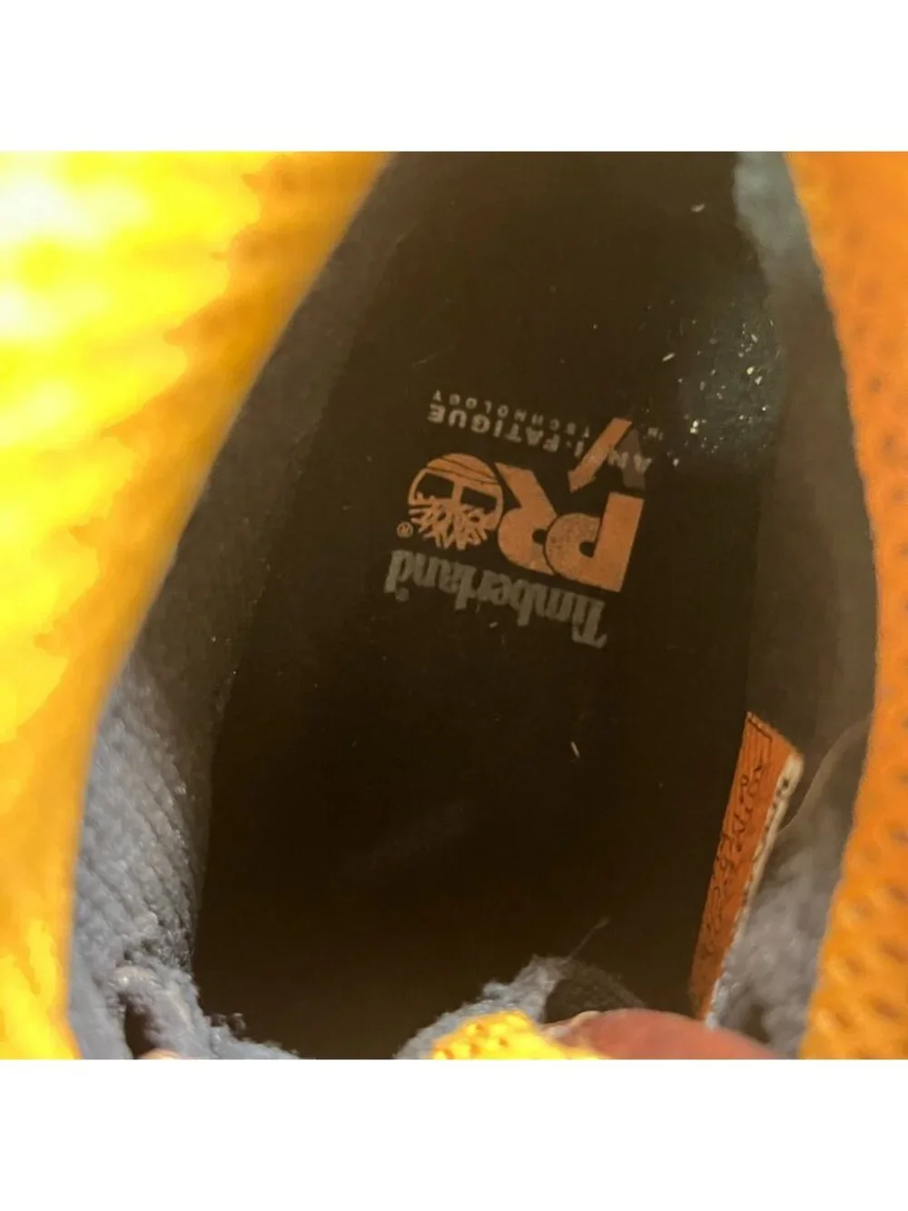 Timberland please review